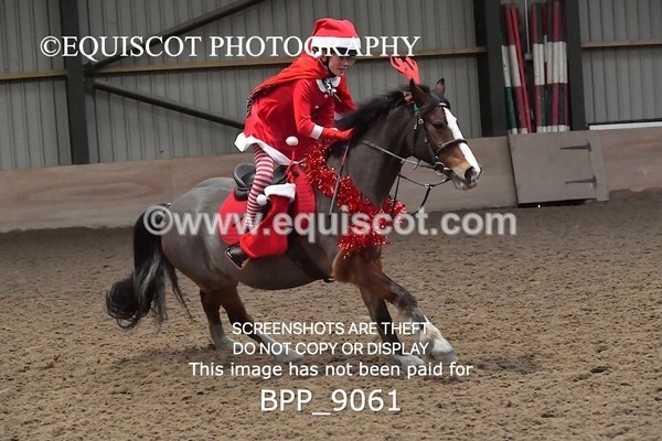 BPP_9061 - CLASS 3 50CM-70CM Pairs Show Jumping