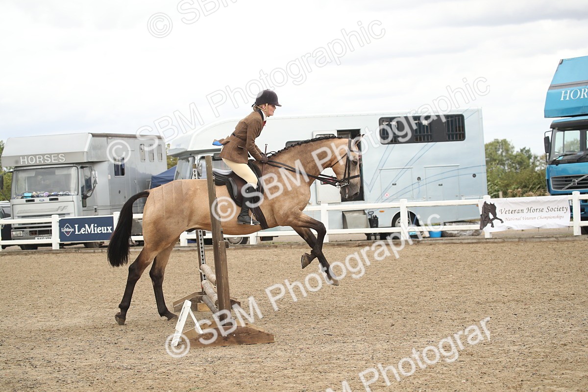 SBM_16665 - Class 507a - Working Veteran - 60cm (15-19)