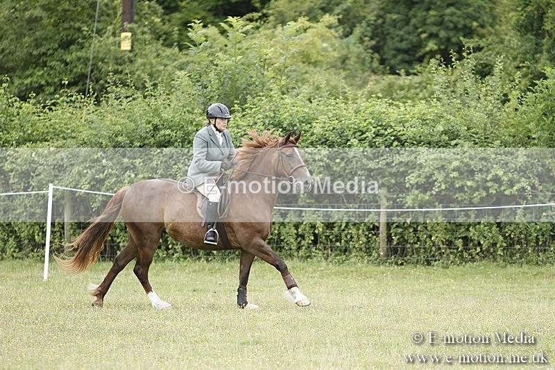 BVR160717-358 - Ring 3 BVRC Show 16/07/17