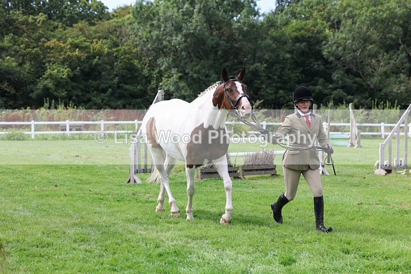 3E7A8763 - Class 5: Working Show Horse