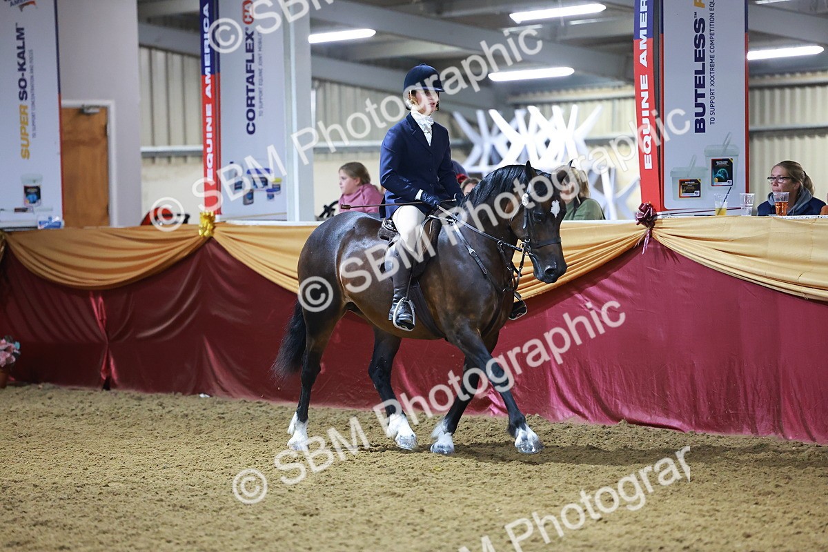 SBM_15695 - Class T - Working Veteran Champ