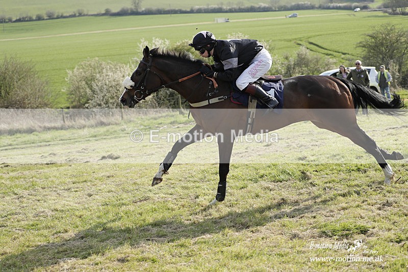 PtP 080423 791 - Dingley Races The Woodland Pytchley Hunt PtP 08/04/23