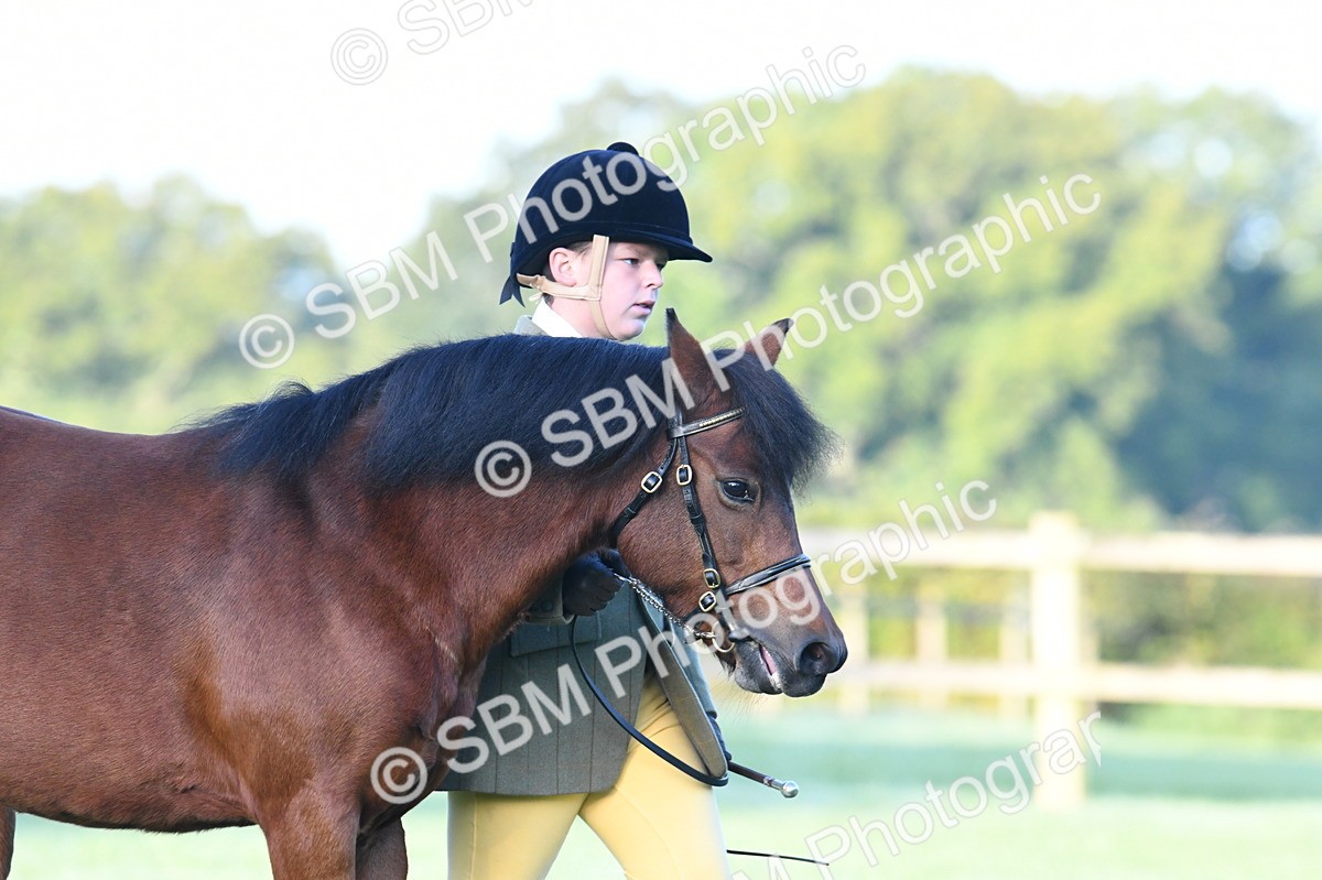 SBM_32417 - S15 - Condition & Turnout In Hand