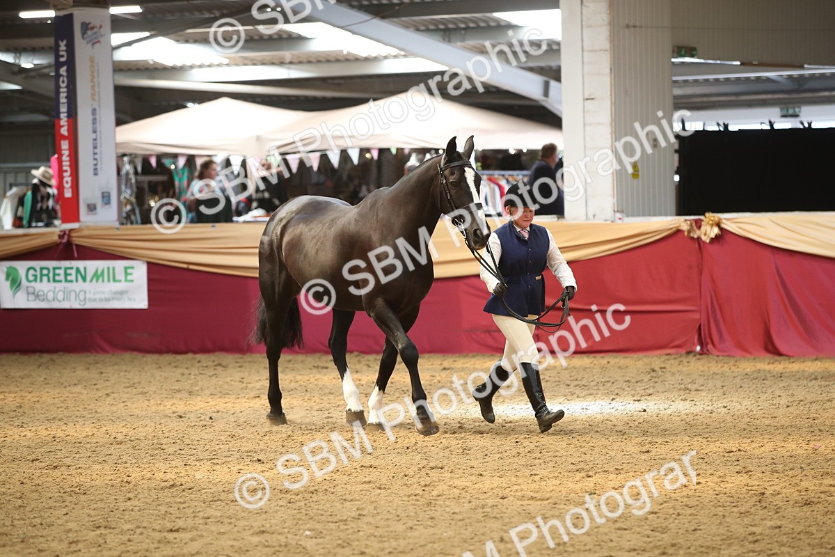 SBM_05350 - Class 8R - Regional IH Veteran