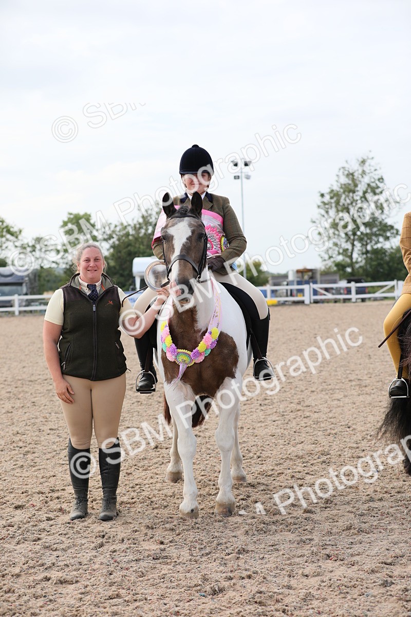 SBM_17036 - Class 314 Family Horse/Pony