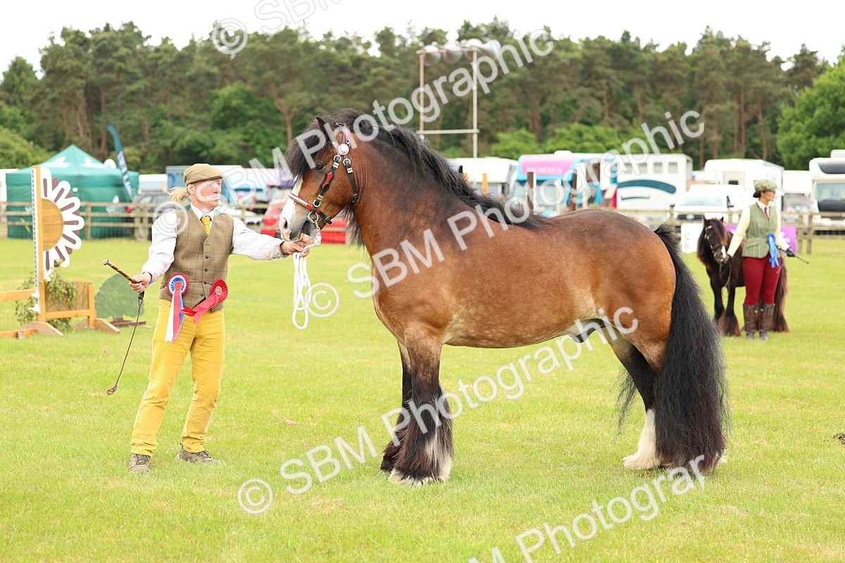 SBM_06329 - Class 39-41 TGCA In Hand and Ridden