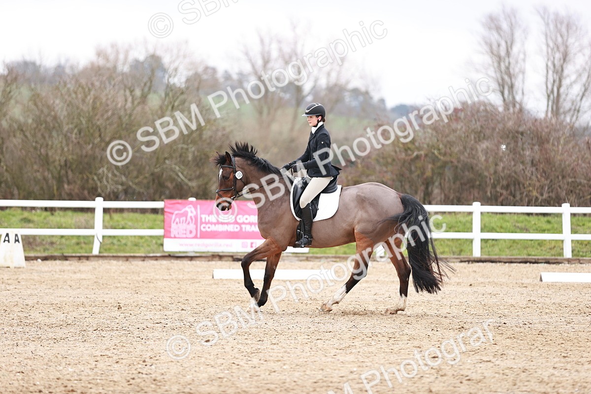 SBM_005254 - Elementary 1