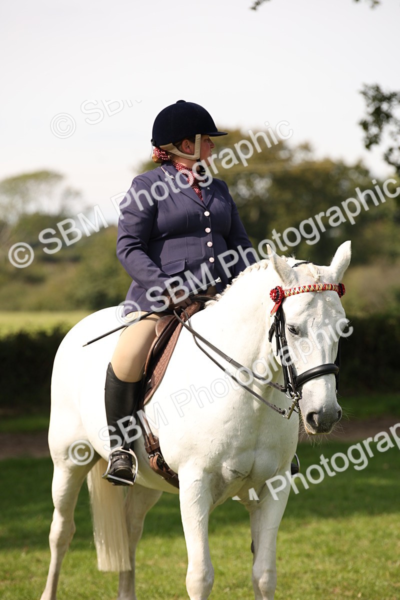 SBM_65976 - S64 - Riding Horse & Hack & Thoroughbred Ridden