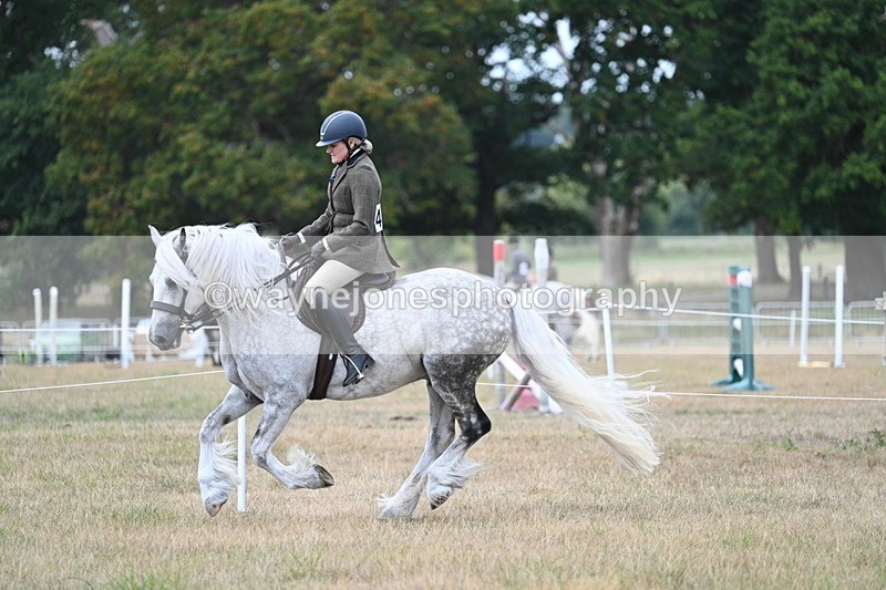 WJ7_5148 - Class 12 Ridden Cob