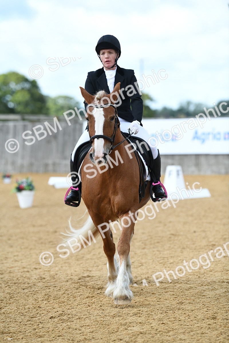 SBM_03113 - D7 Small Tour Championship Prelim 1