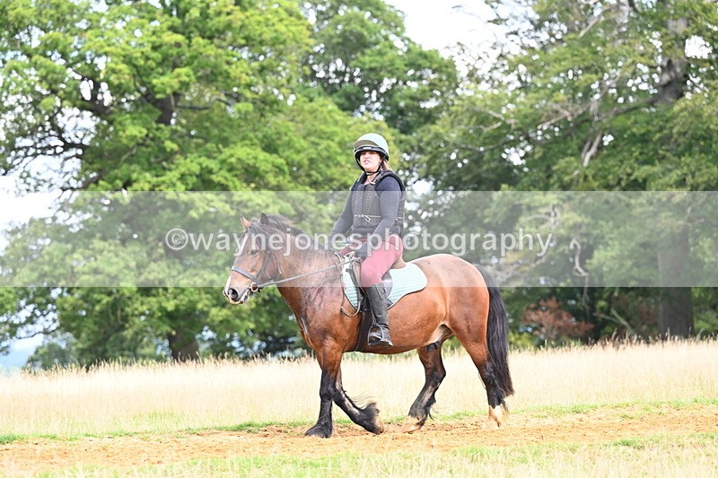 DSC_8004 - Time at Statue 13:16 to 13:52