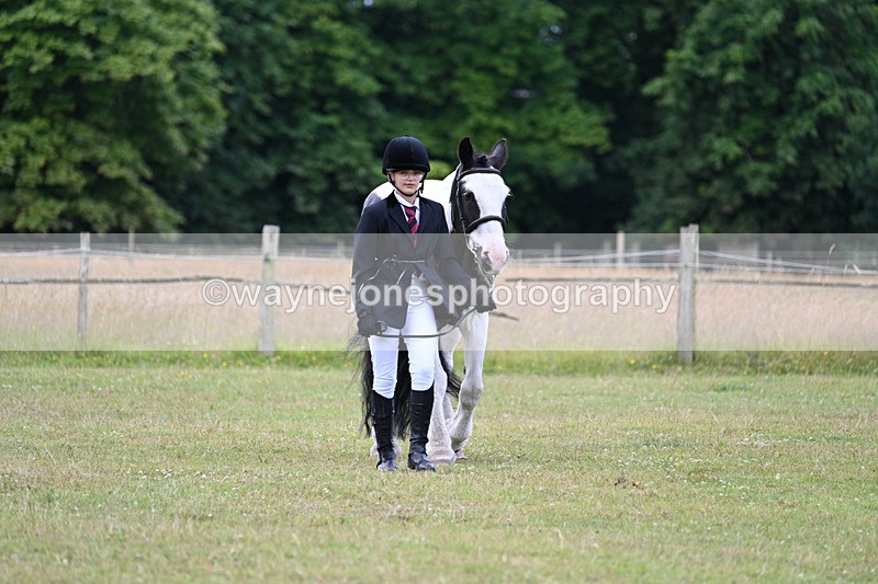 WJ7_6992 - Class 5a Most Handsome Gelding in Hand