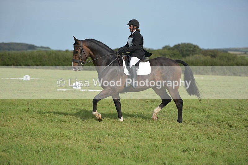 RAY_7910 - Class 2B: Trekenning Open: Dressage