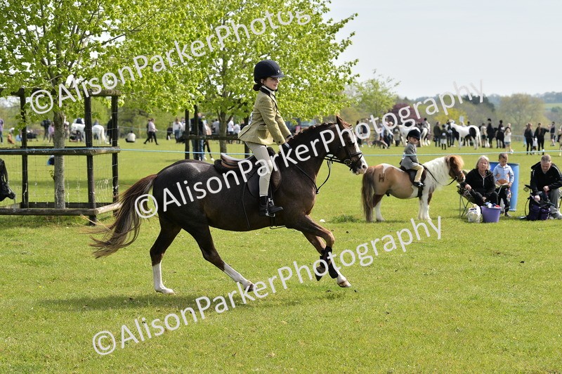 20260426-2270 - Class 20 - Beginner Working Hunter