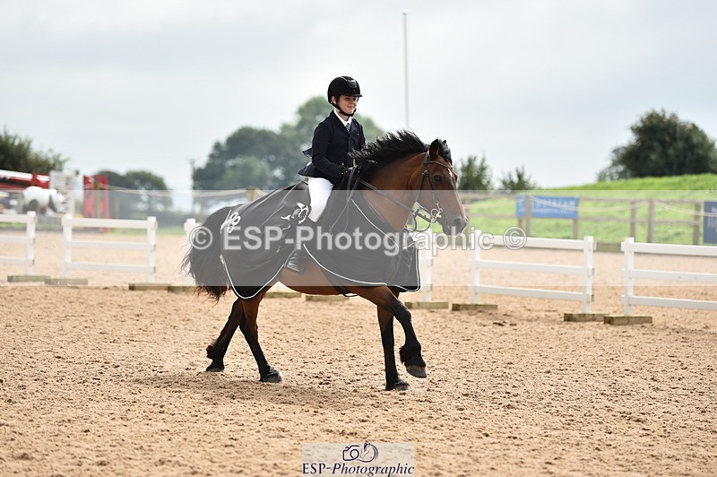 230902A-120828-00939 - Cls 2B Pony Small 80cm