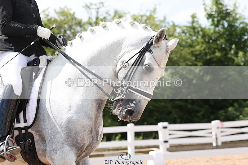 240622A-154209-14292 - Cls 36 BD Adv Medium 98