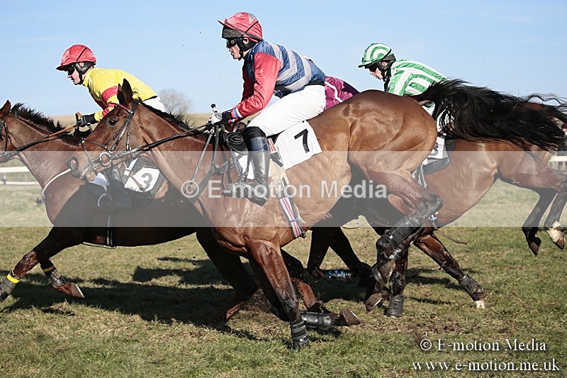 PtP 240218 582 - Vine & Craven Hunt Point-to-Point Barbury racecourse 24/02/18