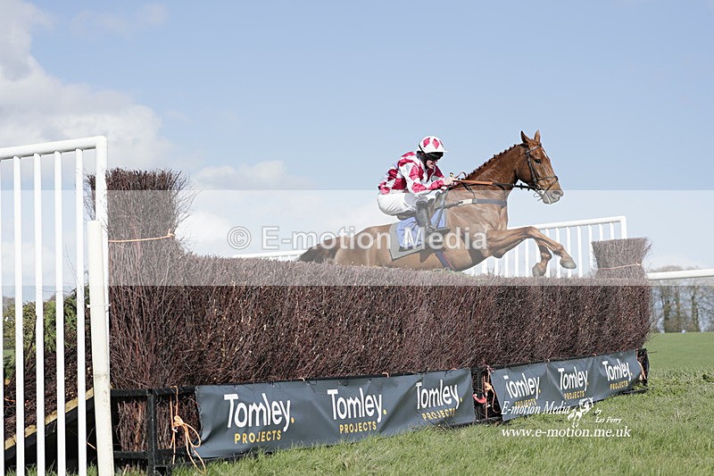 PtP 100423 902 - Old Berkshire Point-to-Point Lockinge 10/04/23