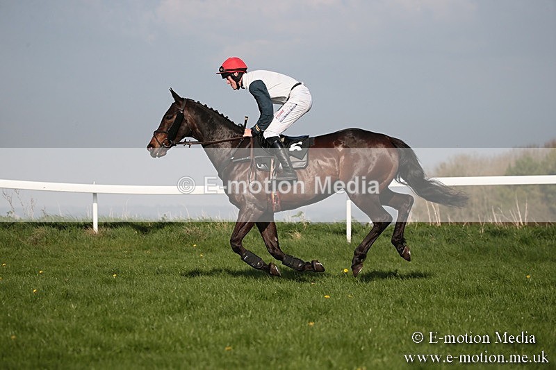 PtP 210418 570 - South & West Wilts Point-to-Point Larkhill 21/04/18