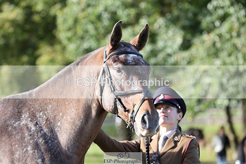 241027-102454-15872 - 501-Captain.Holly.Day-MUSTANG