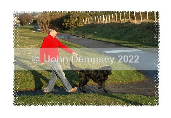 Do You See What I See - Walking the Dog