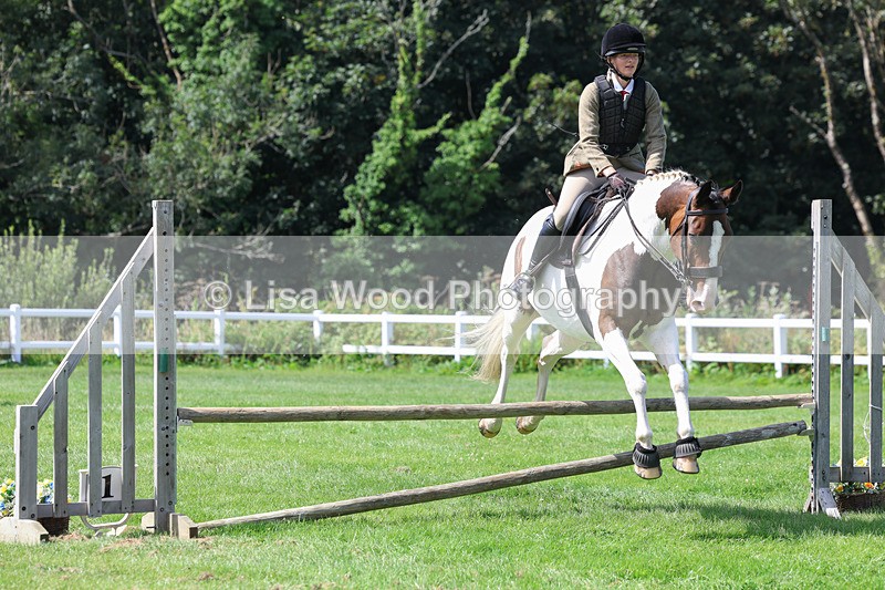 3E7A8596 - Class 5: Working Show Horse