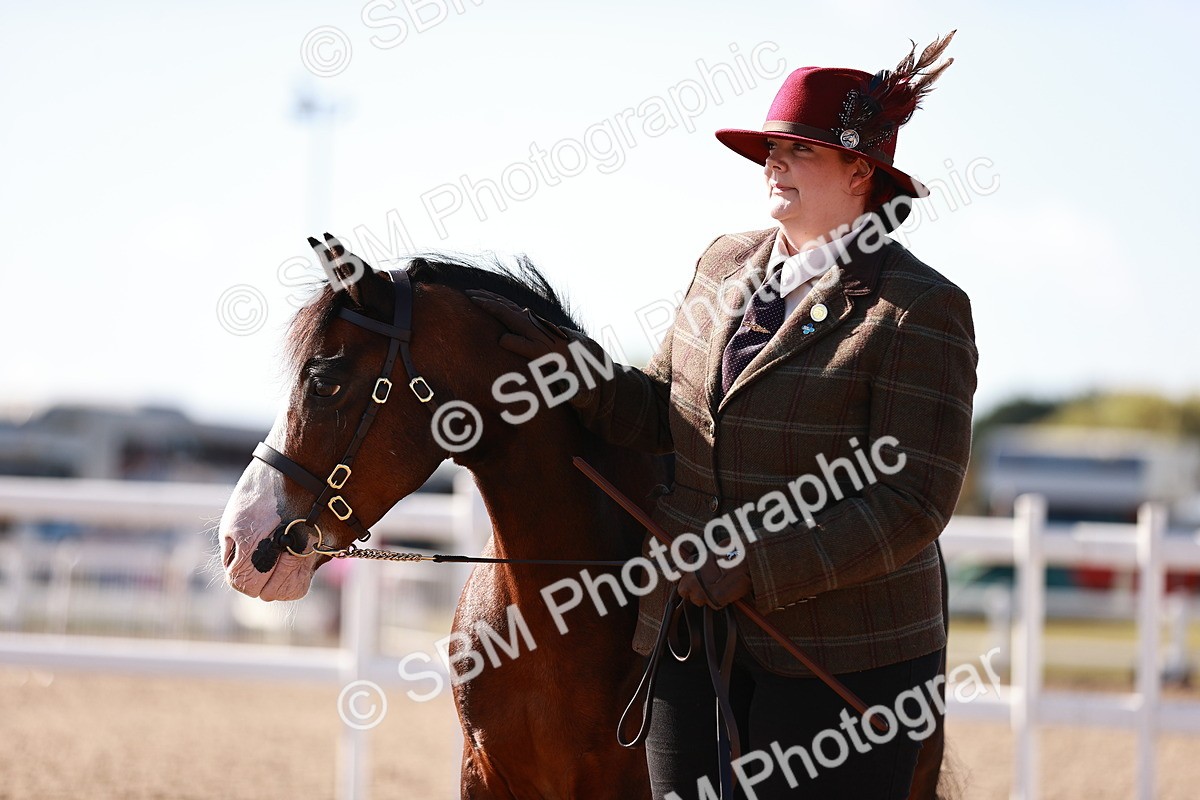 SBM_22722 - Class 704 - IH  Rescue