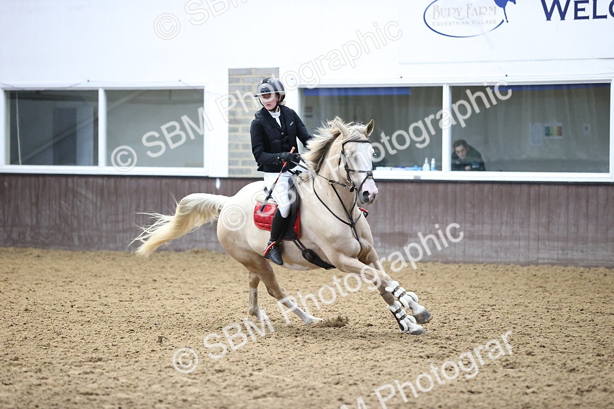 SBM_002499 - Class 9 - Senior British Novice 90cm