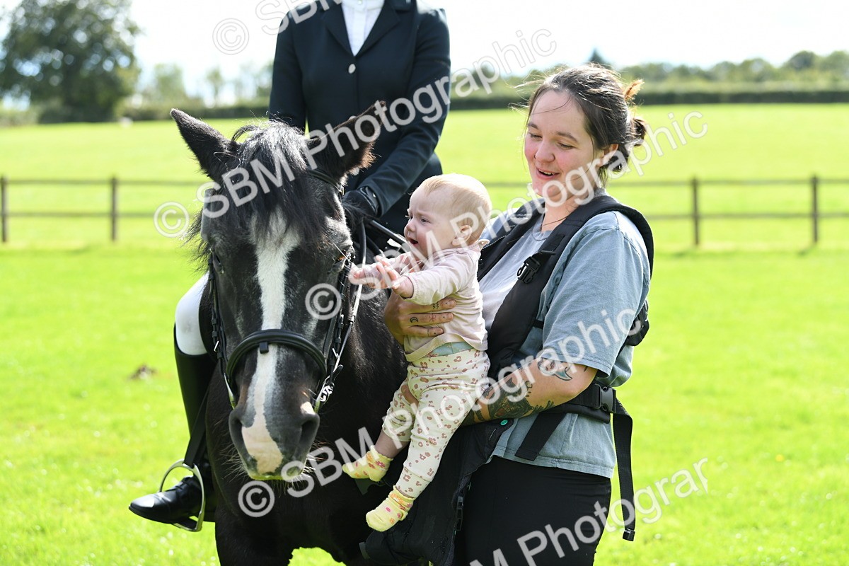 SBM_46819 - S12 - Family Horse & Pony