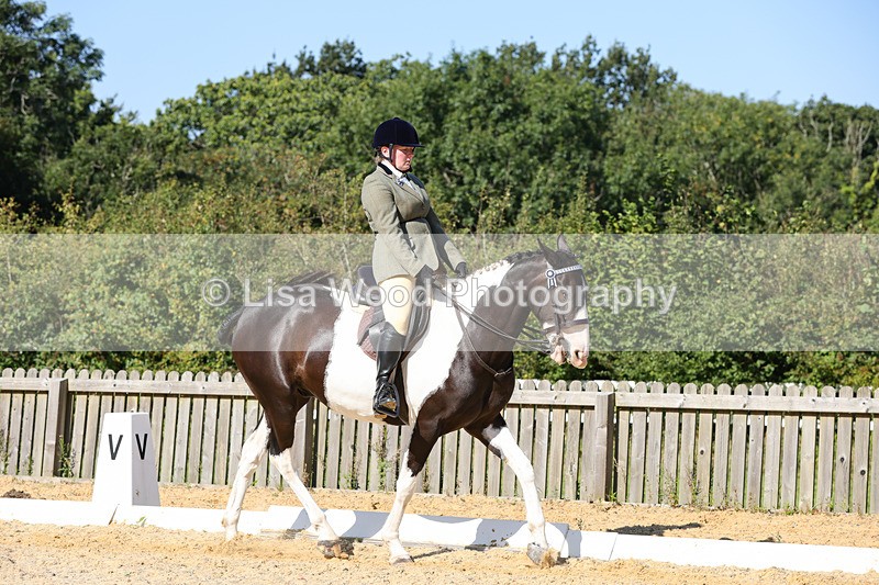 1X9A7851 - Class 10:Riding Horse