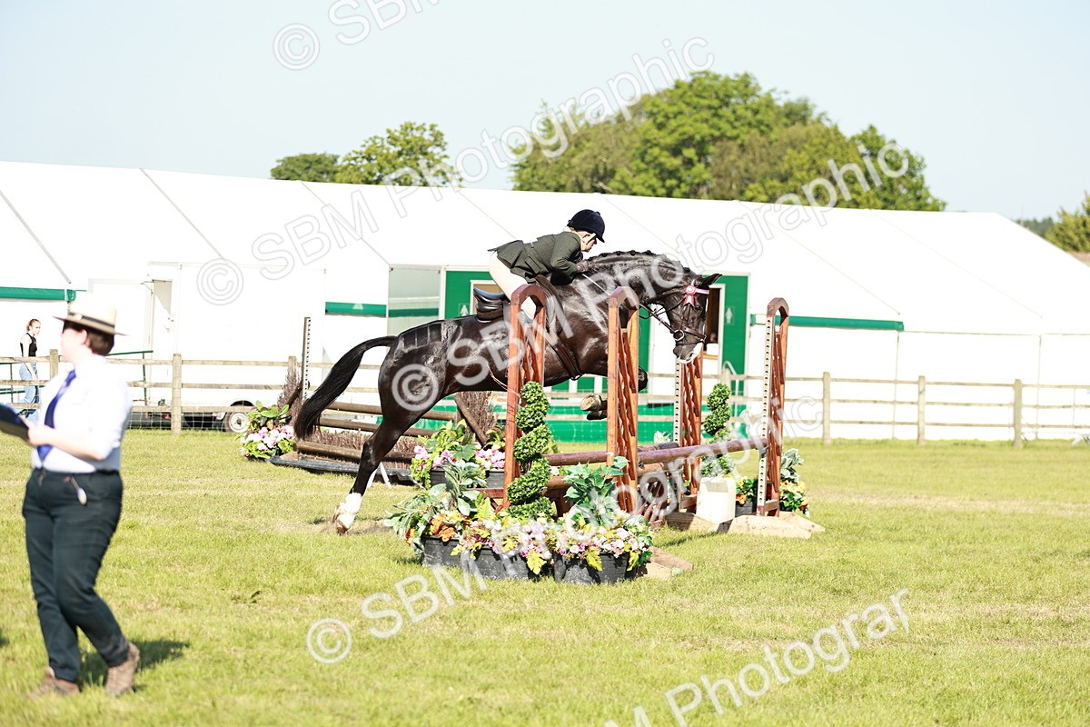 SBM_19187 - Class 115-116 - LIHS BSHA Rising Star Working Hunter & Show Horse