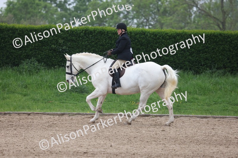 20260504-1124 - Class 14 - Cob and Hunter