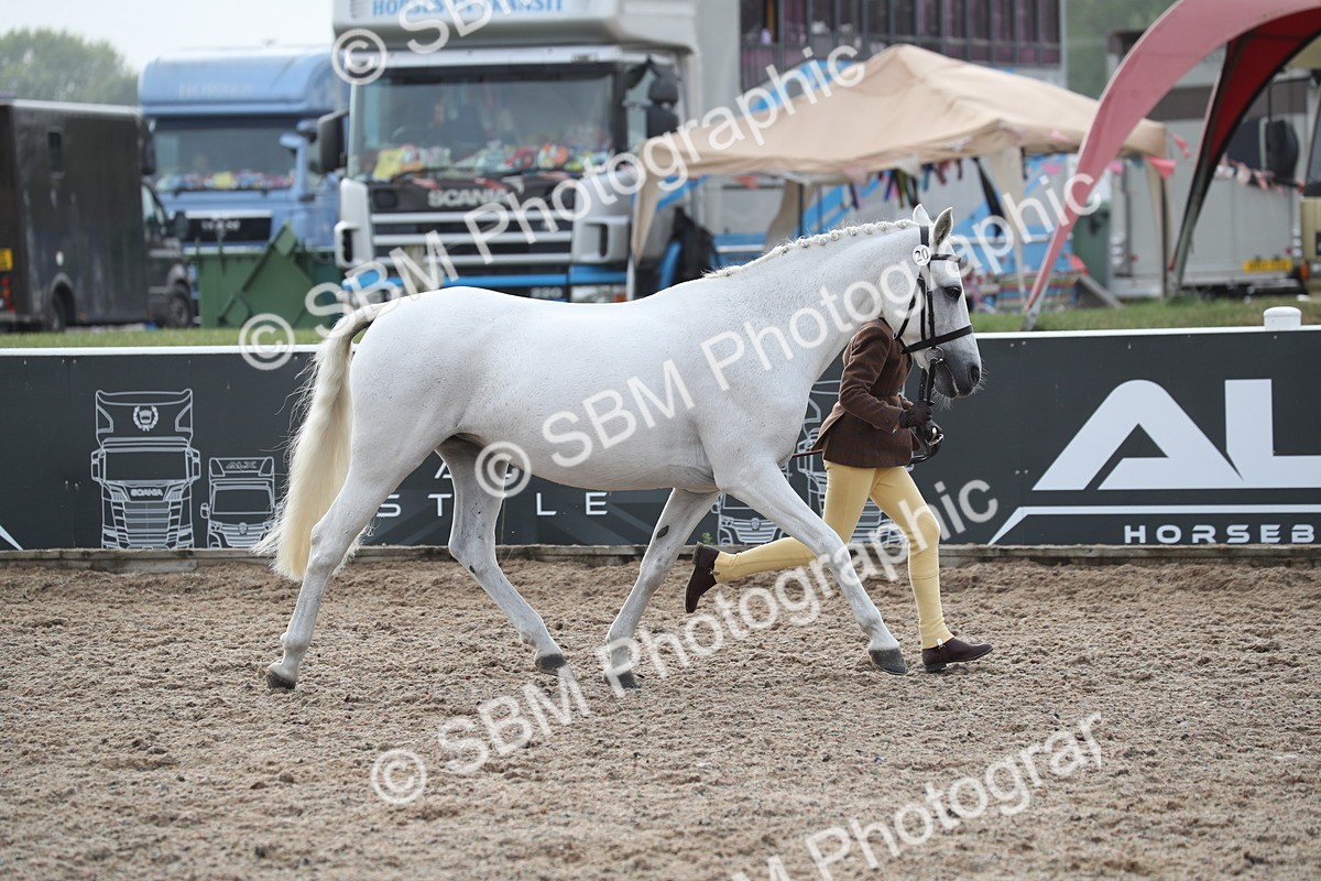 SBM_23085 - Class 605 - 2025 Area - IH Veteran