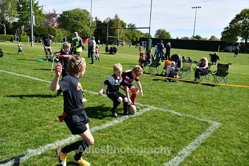  - Selby Rugby Festival 2025