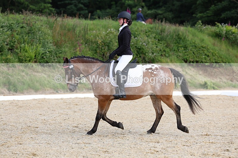 3E7A1458 - Class 2: Intro 2 2024 Section B