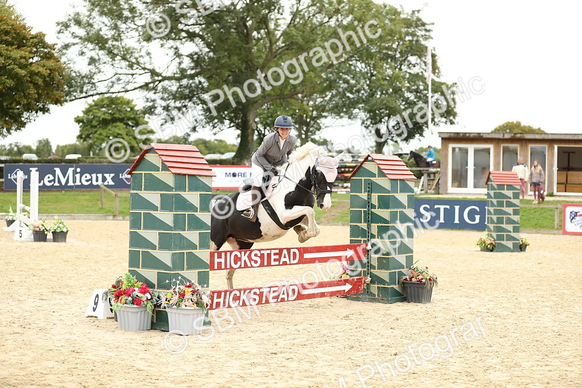 SBM_63083 - Supreme championship 75cm 80cm