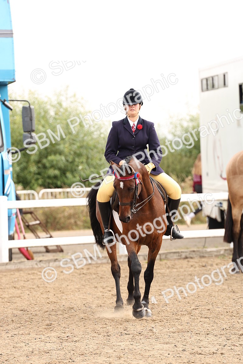 SBM_01569 - Class 52 - Ridden Veteran