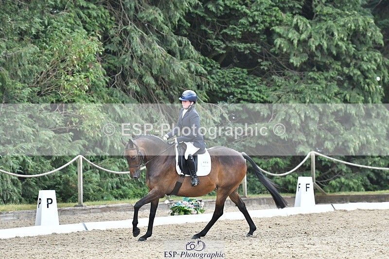 260801A-125311-04085 - Prelim Bronze Break - End
