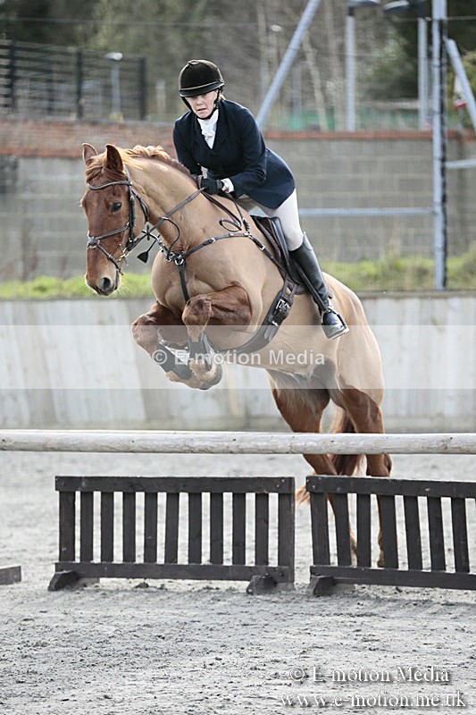 BVRC SJ 170319 748 - Bourne Valley Riding Club Showjumping 17/03/19