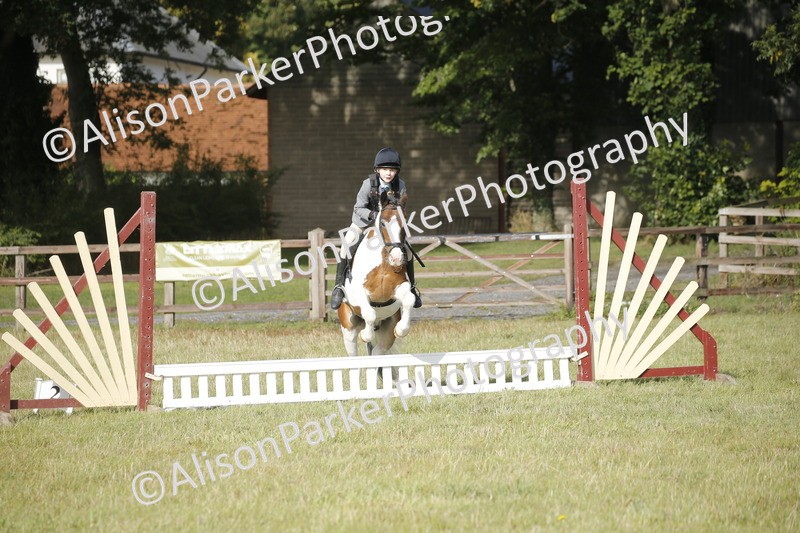 20250831-0095 - Class 1 - 50cm