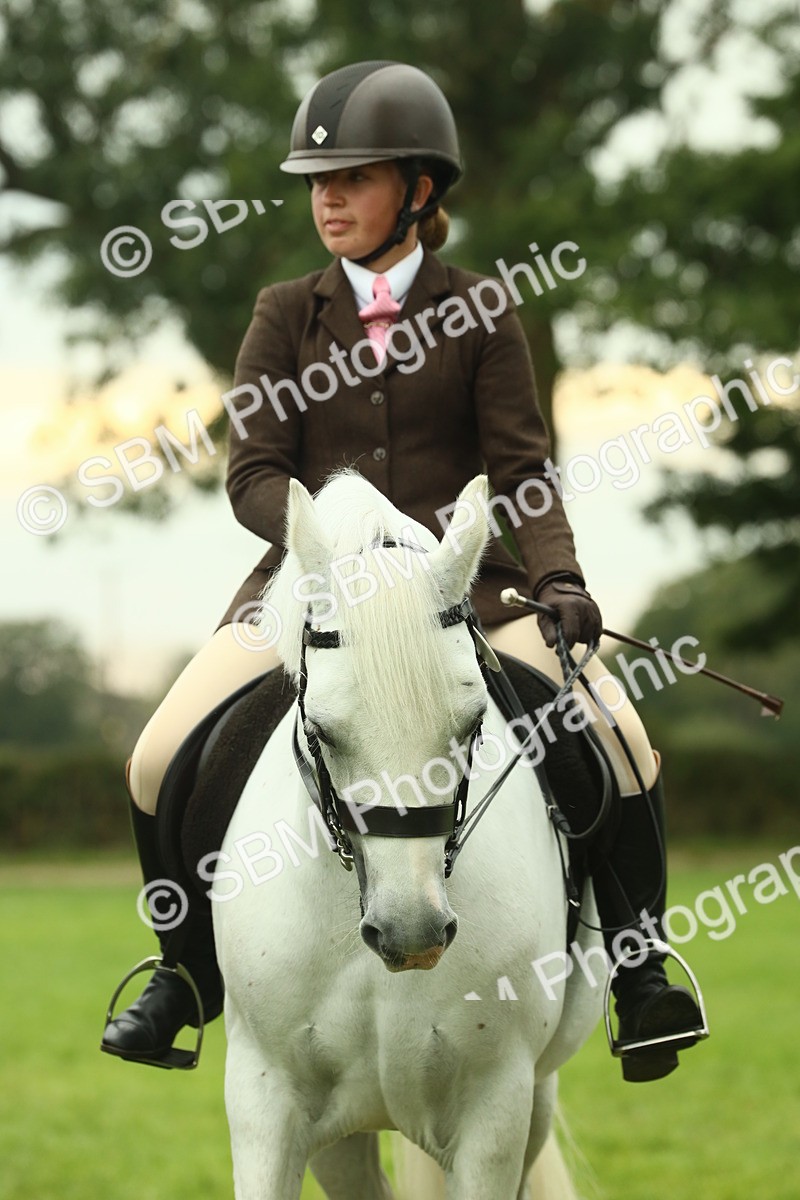 SBM_72270 - S60 - Mountain & Moorland Ridden Large Breeds