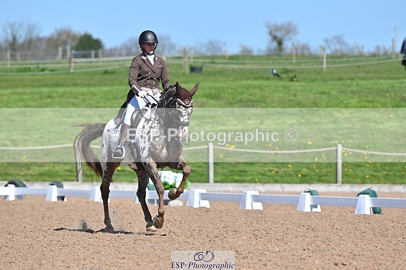 250406-133622-12667 - 137-Naomi Refson-Whitehawk Dancing Fire