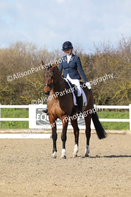 20260314-4945 - CT6 - Elementary 1