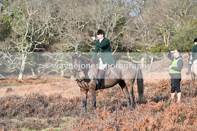 WJ7_7993 - Line 3 (no line 4 or 5)