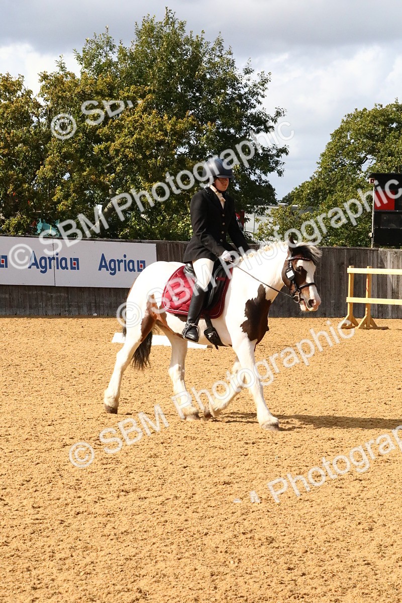 SBM_24475 - D5 - Small Tour Championshop Intro 2