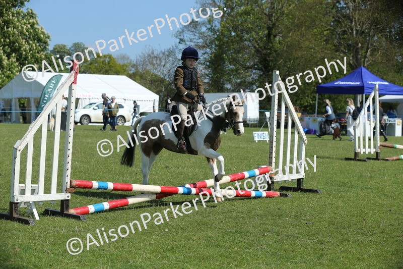 20250427-1898 - Class 2 - Mini Jumping 30cm