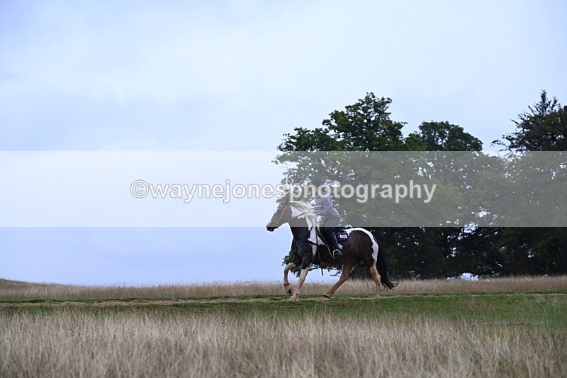 DSC_3272 - Time at Statue 12:59 to 13:49