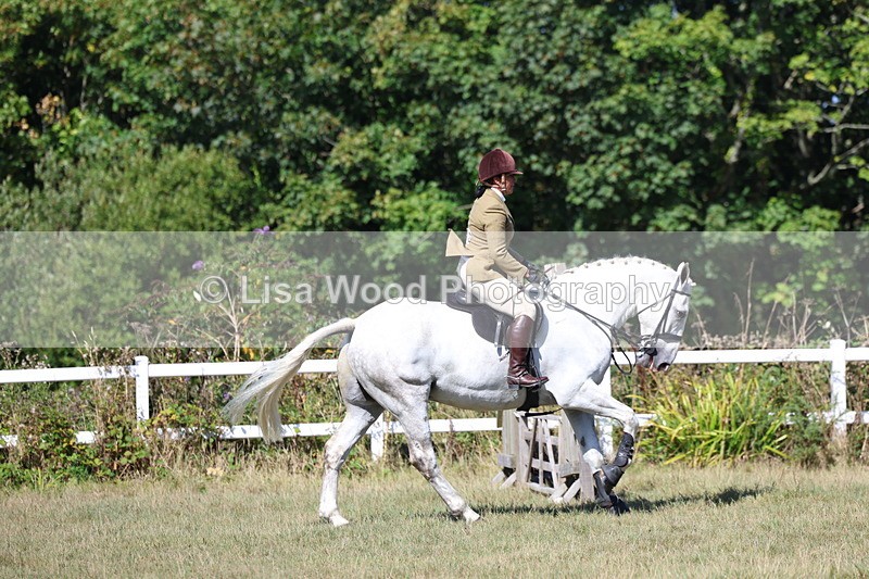 3E7A6235 - Class 6: Working Hunter 1m