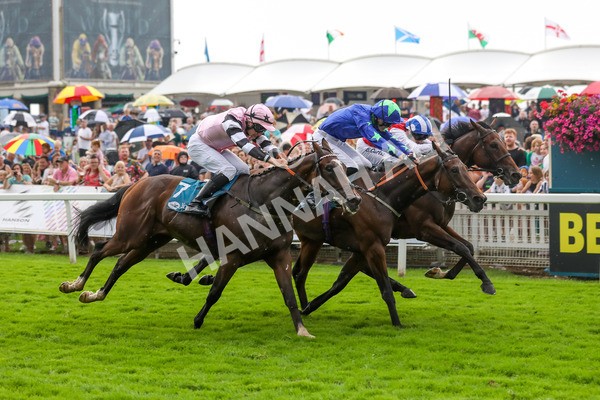 100923-Race 6-Anjo Bonita-4004 - Race 6 4.25pm Hanson Springs 60th Anniversary Handicap at York