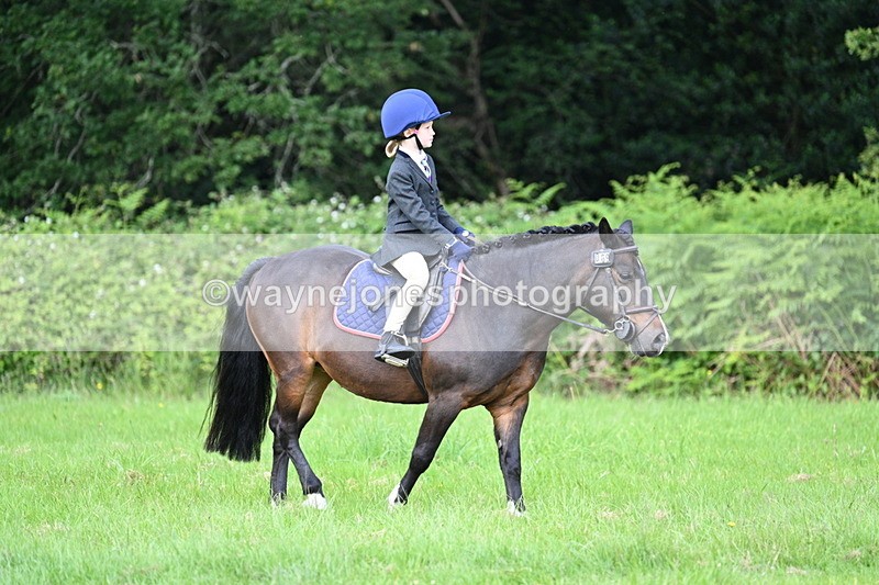 WJ7_1033 - Class 11 Condition & Turnout